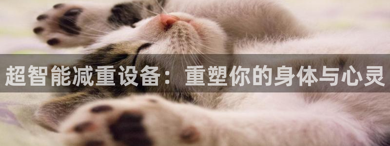 辉达娱乐彳75775：超智能减重设备：重塑你的身体与心灵