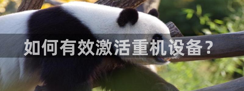 辉达娱乐 75505：如何有效激活重机设备？