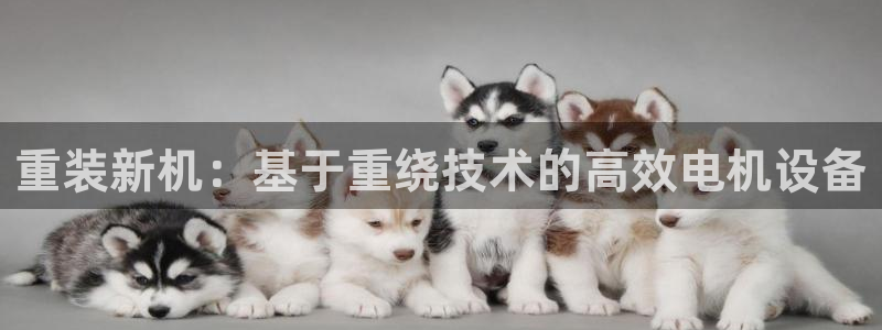 代理辉达娱乐：重装新机：基于重绕技术的高效电机设备