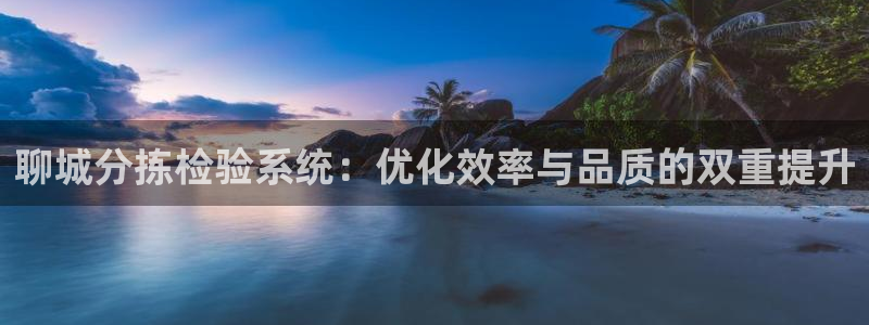 辉达娱乐电子游艺：聊城分拣检验系统：优化效率与品质的双重提升