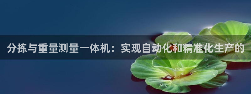 辉达娱乐网址：分拣与重量测量一体机：实现自动化和精准化生产的