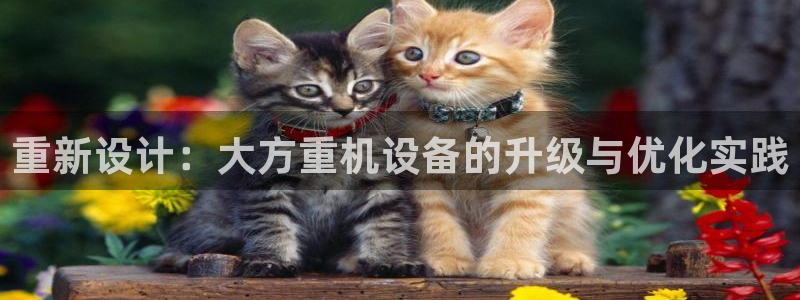 辉达娱乐最新消息新闻：重新设计：大方重机设备的升级与优化实践