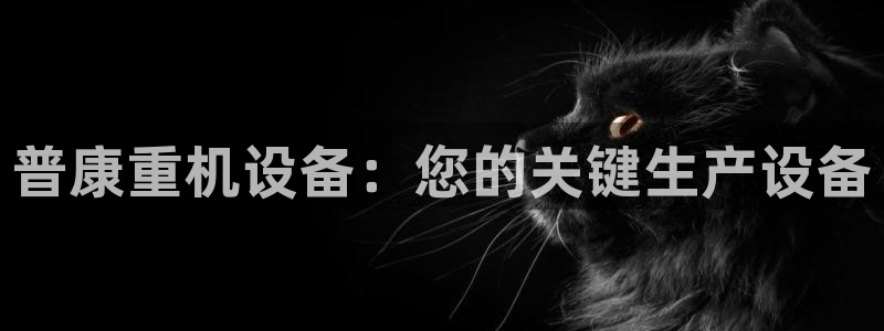 菲律宾辉达娱乐