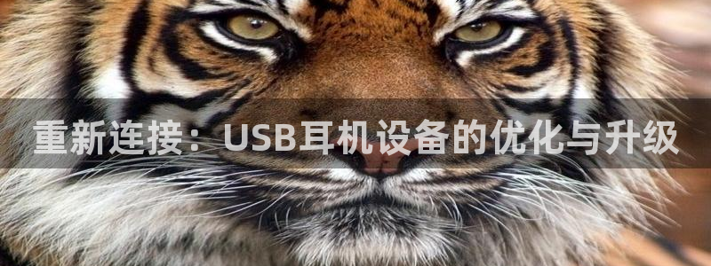 信誉辉达娱乐开户注册