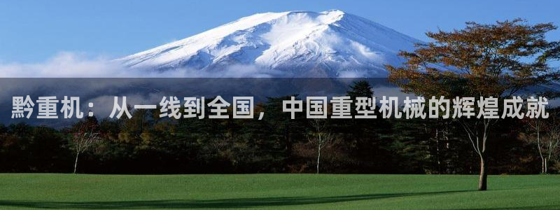 龙腾辉达电子娱乐