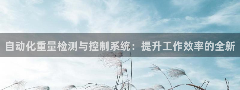 辉达娱乐待遇：自动化重量检测与控制系统：提升工作效率的全新