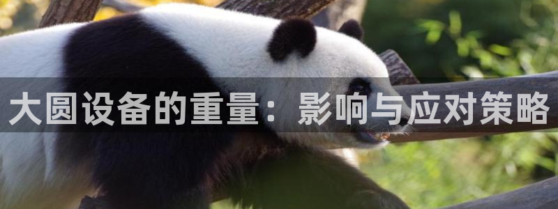 辉达娱乐最新版本更新内容：大圆设备的重量：影响与应对策略