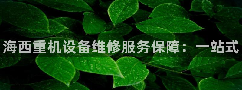 龙腾辉达电子娱乐