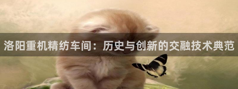 辉达娱乐ag游戏平台