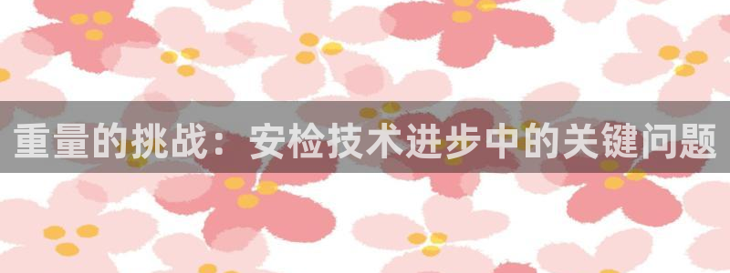 正规辉达娱乐平台：重量的挑战：安检技术进步中的关键问题