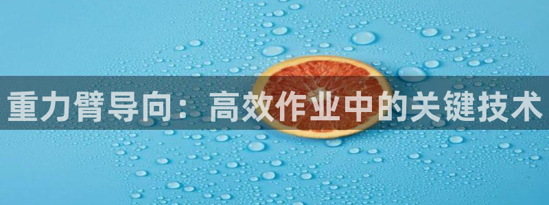 辉达平台官网登录：重力臂导向：高效作业中的关键技术