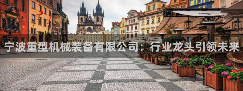 辉达娱乐注册：宁波重型机械装备有限公司：行业龙头引领未来