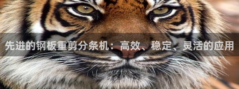 辉达娱乐最新消息新闻：先进的钢板重剪分条机：高效、稳定、灵活