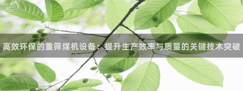 辉达娱乐下载：高效环保的重筛煤机设备：提升生产效率与质量的关