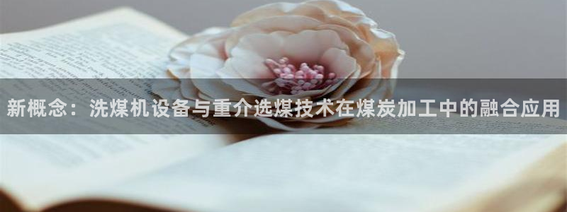 辉达娱乐招商：新概念：洗煤机设备与重介选煤技术在煤炭加工中的