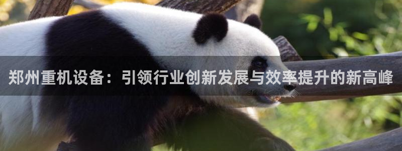 辉达娱乐下载