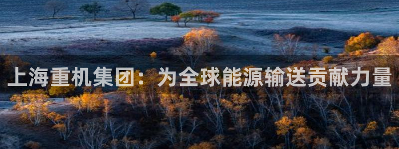 辉达娱乐待遇