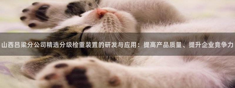 辉达娱乐多少年