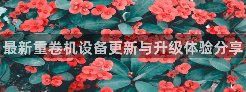 专业辉达娱乐平台