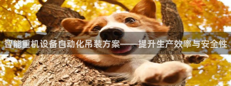 辉达娱乐新疆时时彩：智能重机设备自动化吊装方案——提升生产效