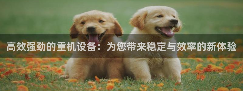 信誉辉达娱乐在线游戏