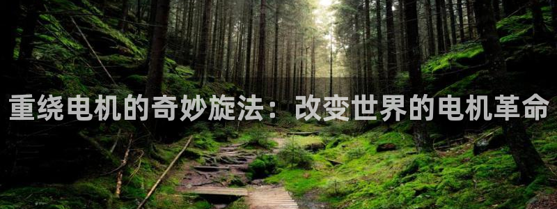 辉达娱乐丨39444：重绕电机的奇妙旋法：改变世界的电机革命