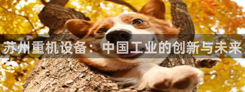 辉达平台注册：苏州重机设备：中国工业的创新与未来