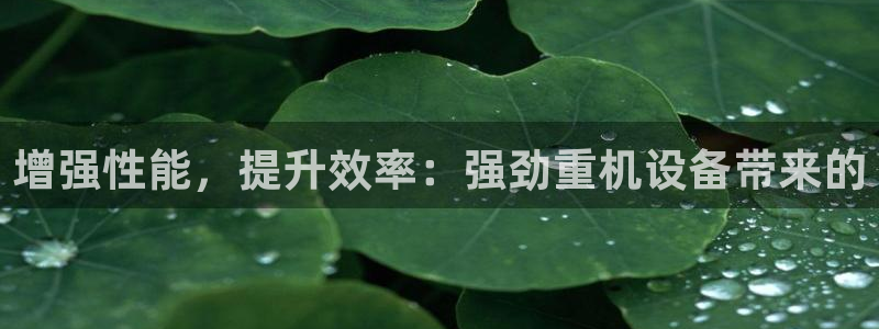 专业辉达娱乐平台