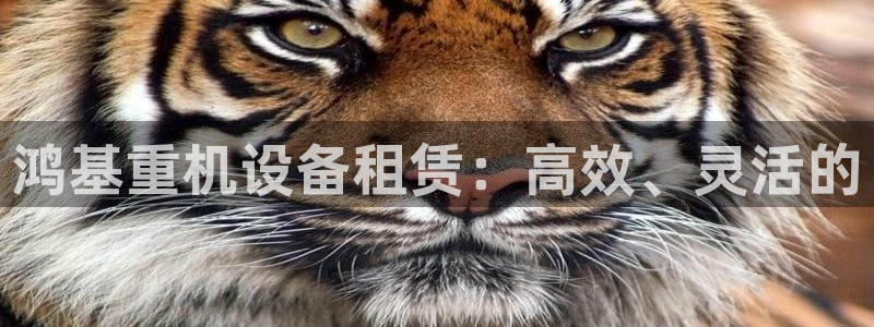 辉达娱乐己39444：鸿基重机设备租赁：高效、灵活的