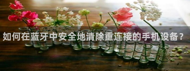 辉达娱乐最新消息新闻：如何在蓝牙中安全地清除重连接的手机设备