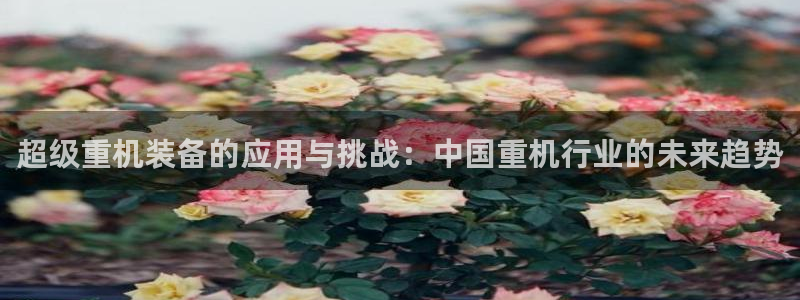 正规辉达娱乐平台：超级重机装备的应用与挑战：中国重机行业的未