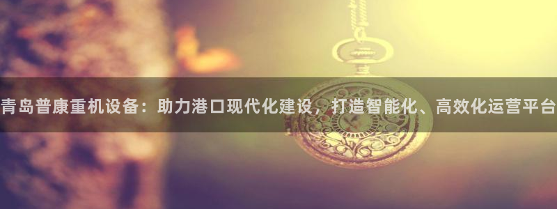 辉达平台官网登录：青岛普康重机设备：助力港口现代化建设，打造